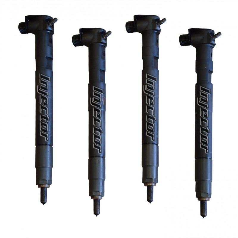 R00203D DELPHI Vstreky použité