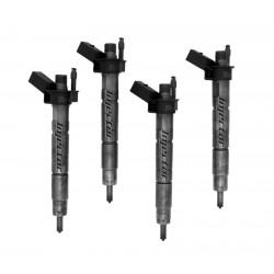 13537809190 BOSCH Vstreky použité