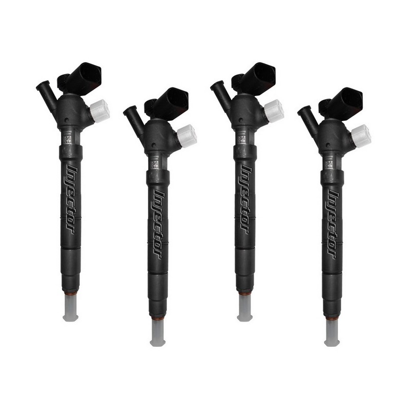 Vw Polo 1.4 TDI 55 kW 75 HP DELPHI Vstreky