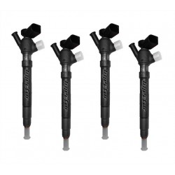 Vw Polo 1.4 TDI 55 kW 75 HP DELPHI Vstreky