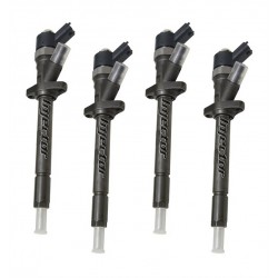 0445110036 BOSCH Vstreky nové