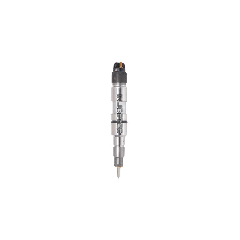 MAN TGL 4.6 d New Bosch Injector