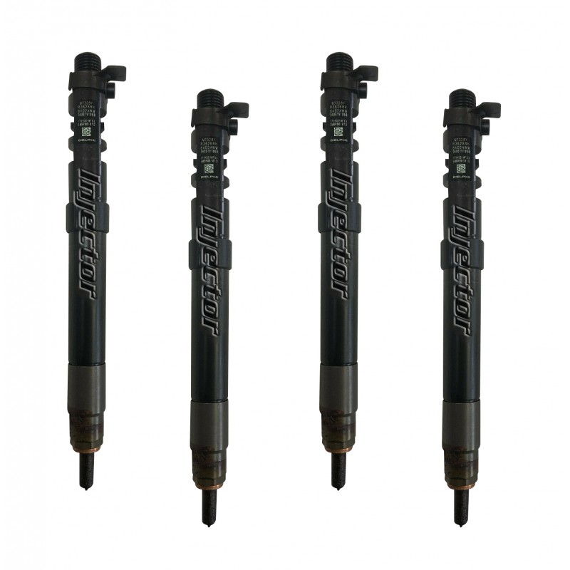 Fiat Scudo 2.0 D Multijet 4x4 94 KW 128 HP juego de 4 inyectores usados DELPHI EMBR00101DP, R00101D, EMBR00101D