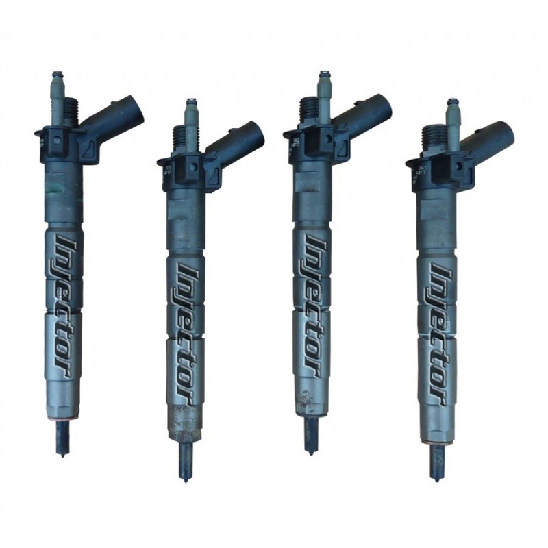 Bmw X5 xDrive30d 180 KW 245 HP BOSCH 7797877 7809190 juego de 4 inyectores usados 13537805429