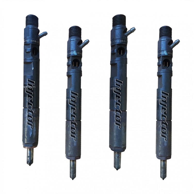 Renault Thalia 1.5 dCi 47 KW 64 HP juego de 4 inyectores usados DELPHI 8200421897, 8200815416