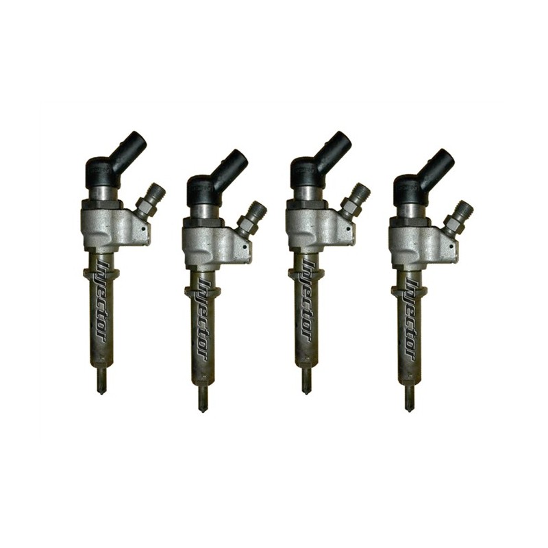 Peugeot 306 2.0 HDi 66 KW 90 HP VDO 1980F0 1980-87 1980-FO 198087 juego de 4 inyectores usados